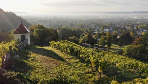 Wohlfühl-Apartment am Lösnitzgrund - Foto 2