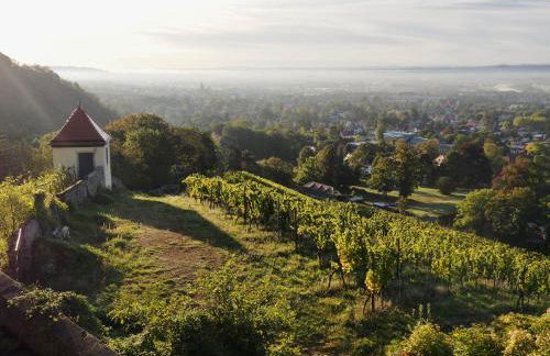 Wohlfühl-Apartment am Lösnitzgrund - Foto 2