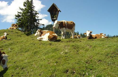 Gästehaus Anneliese - Foto 42