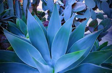 Villa Maya - Photo 45