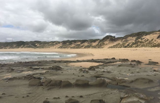 Your Ocean Oasis Ocean Country Views Spa Pet Friendly Fireplace - Foto 72