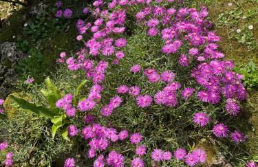 Appartamento al lago - Foto 20