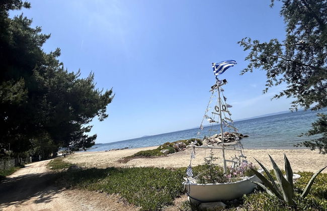 Private Garden Oasis in Nikiti, Greece - Your Dream Vacation Awaits - Foto 22