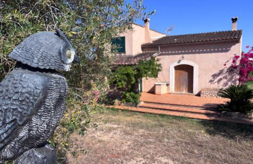 Bonita casa de campo Sa Vinya para relax y piscina privada - Foto 60