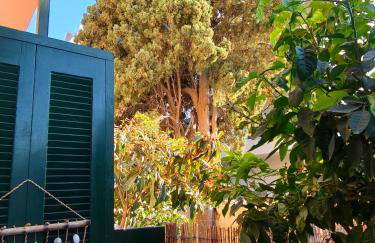 Annie's Home - Photo 12