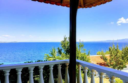 Blue Dandelion - Photo 29