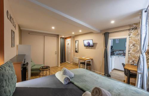 LE CATELE - Studio RIOM - 3 pers - Vulcania - Puy de Dôme - Proche Clermont Ferrand - Foto 1