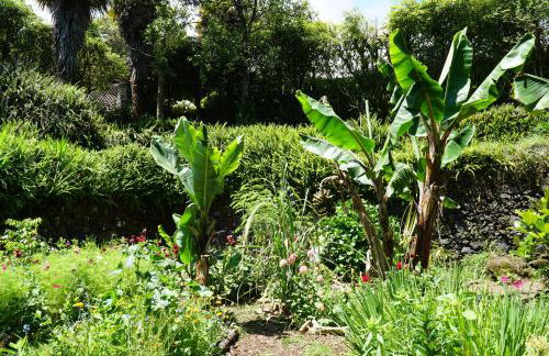 Casa-Stella-Azores - Foto 21