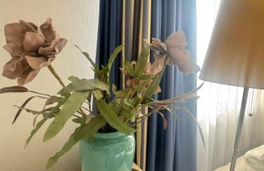 Ferienwohnungen Traubeneiche - Foto 2