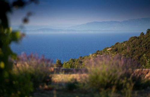 Secluded holiday house Okljucna, Vis - 15283 - Foto 16