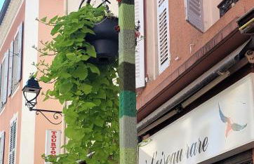 L'Escale Centre Historique de Gap Meublé de tourisme Classé 3 étoiles - Foto 49