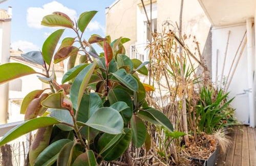 Marché des Capucins - Calme - Lumineux - Garage - Foto 9