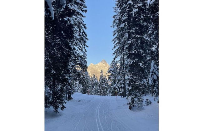 Holiday Apartment Alpengluhen - Foto 38