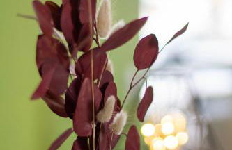 Gohlke L.O.F.T. Apartments - Foto 11