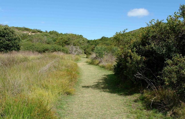 Chalet 40 Entire House Tranquil and Family-friendly Location - Photo 29