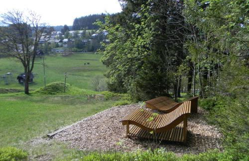 Schönwald Schwarzwaldhäuser Apartment 7 - Foto 26