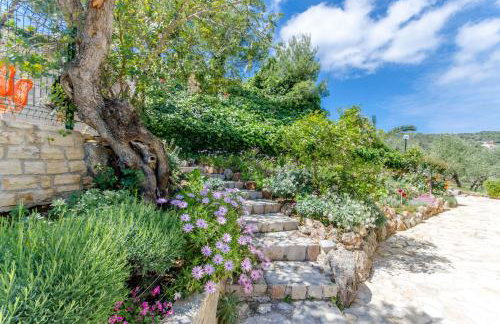 Apartments Drazen - Foto 21