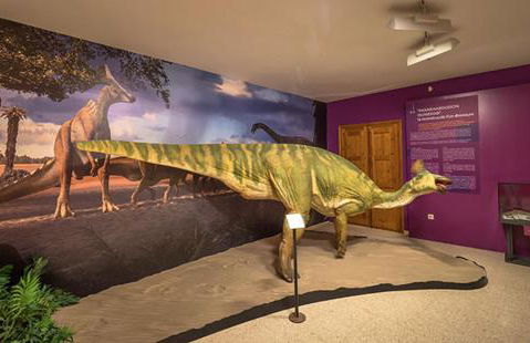 Casa Rural Teulé - Photo 48