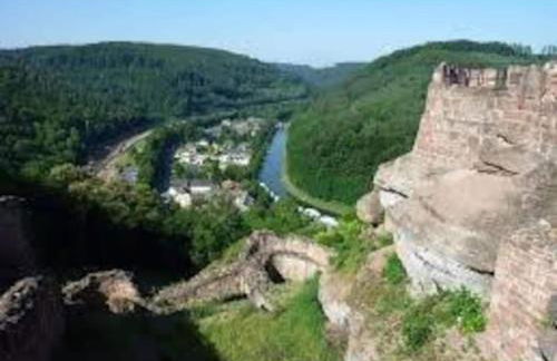 Chalet in Dabo near Castle Ruins - Photo 29