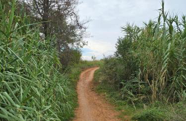 Marine Bliss - Foto 33