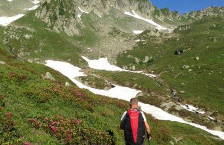 Les racines et les cimes - Foto 2