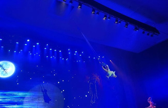 Experience Da Nang Charming Da Nang Show Ticket - Photo 6