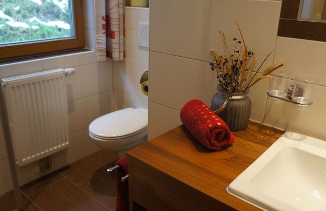 Apart Frühstückspension Stark Paznaun - Foto 67