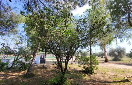 Hostal Restaurante San Martin de Montalban - Foto 71