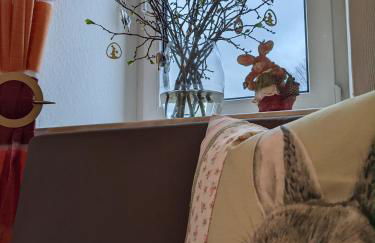 Ferienwohnungen Schönherr - Foto 28