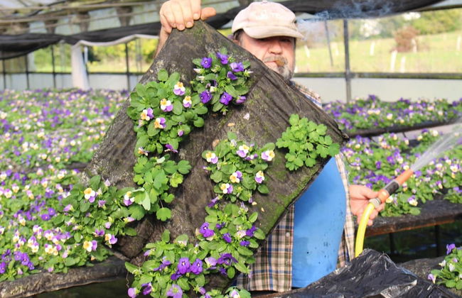 Agroturismo Ibarrondo Etxea - Foto 33