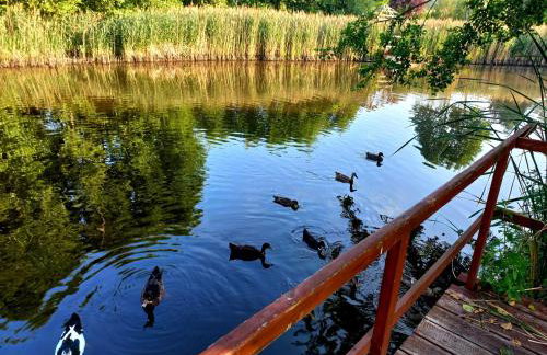 Dom Malarki - Foto 37