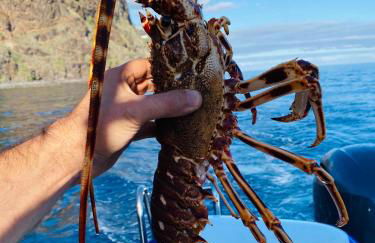 Villas Calhau da Lapa 51 - Foto 38