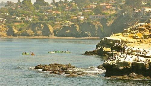 Sunny Gardens A Classic La Jolla Beach Home Close to Wind n Sea Beach - Foto 3