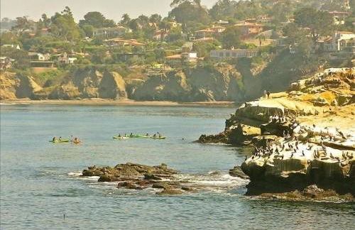 Sunny Gardens A Classic La Jolla Beach Home Close to Wind n Sea Beach - Foto 3