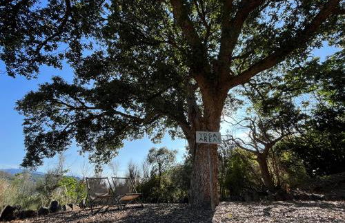 Finca el Roque - Photo 18