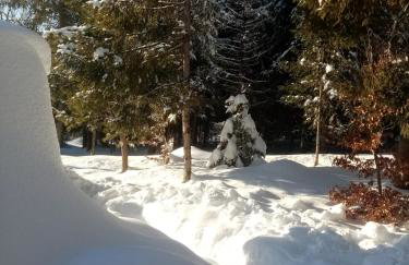 Górski Zakątek z kominkiem i tarasem - Foto 45