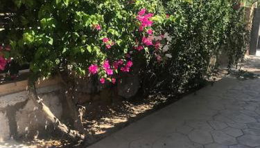 Πέτρινη κατοικία στην Αίγινα - Stone House in Aigina - Foto 2