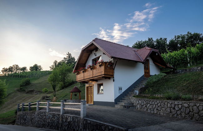 Vineyard Cottage Krivic - Photo 19
