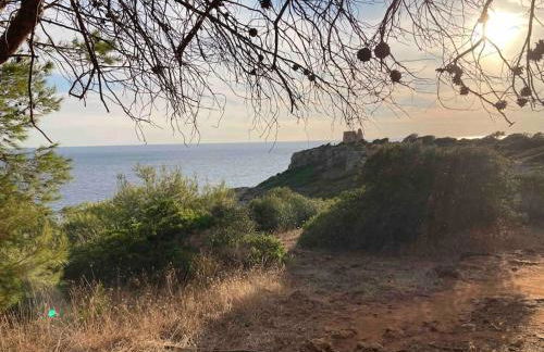 Dimora Serafina - Salento/Matino - Foto 36