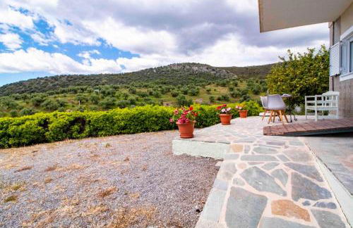 Konstantinos - Photo 12