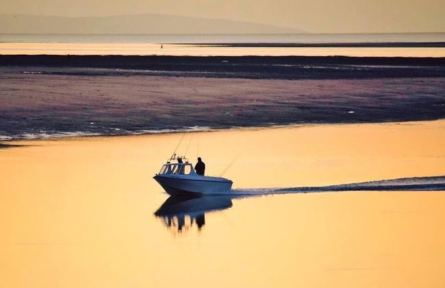 Superb Cintra Apartments - Foto 44