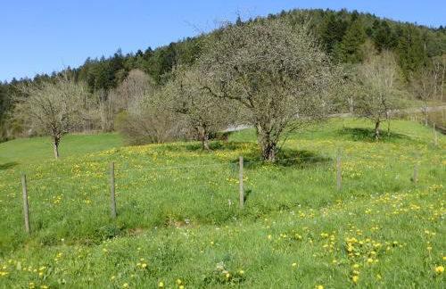 Ferienwohnung Bühler - Foto 4