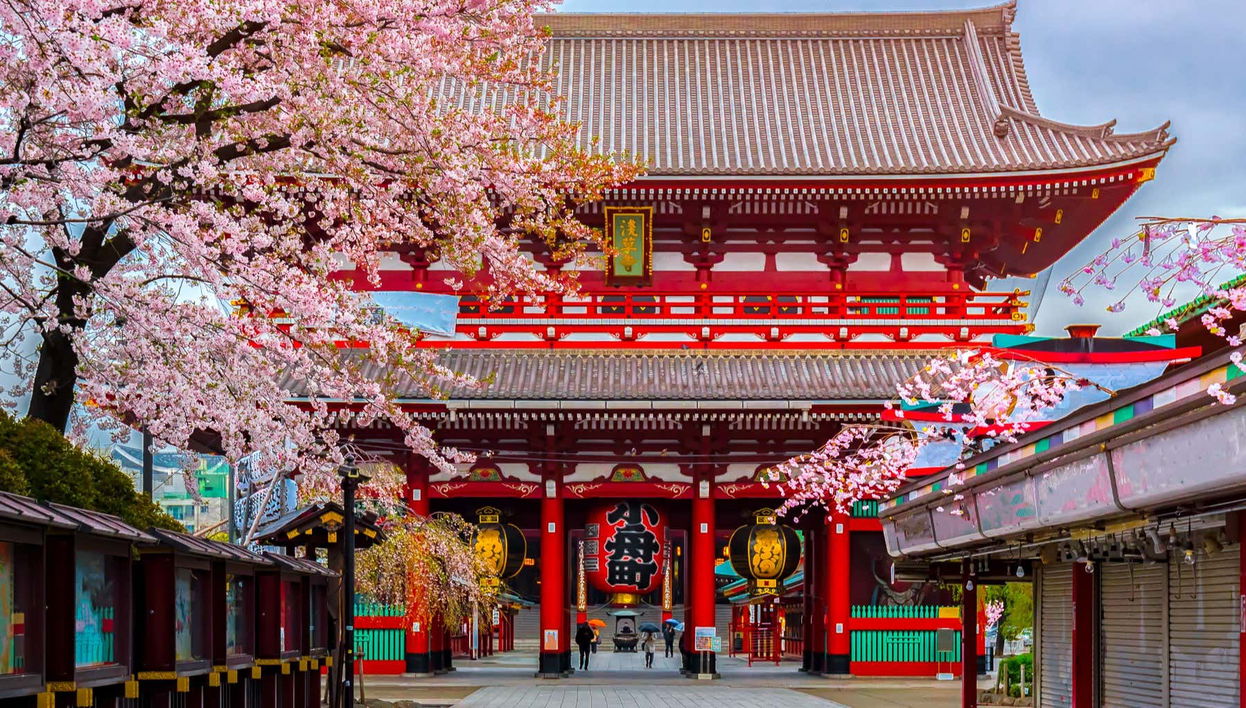 Visita guidata di Asakusa