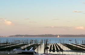 villa blanche Cabine 1 - Foto 31