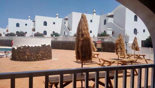 Flor De Cactus - Foto 4