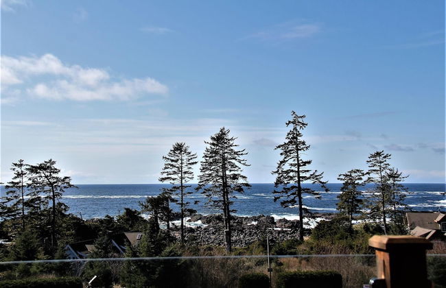 Big Beach Villa - Photo 4