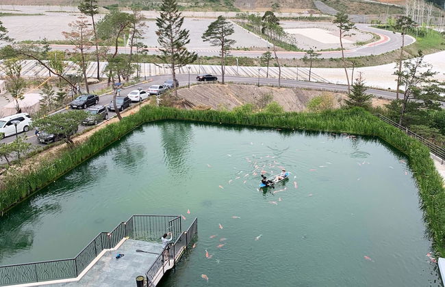 Pine Forest - Photo 26