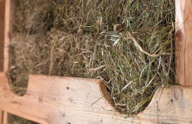 Maso Del Fieno - Photo 33