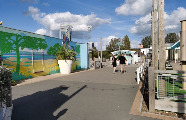 Sea Activities Golden Sands Beach Relax - Foto 27