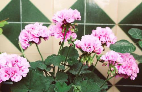 Masia Can Solà Gros - Foto 48